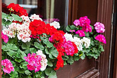 《吸血鬼：避世血族2》新截图 画面精致气氛诡异